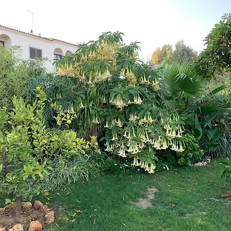 A Tranquil Garden Apartment, - Benagil アパート