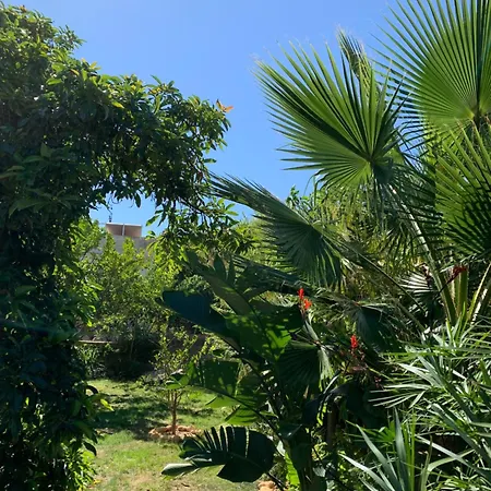 A Tranquil Garden Apartment, - Benagil