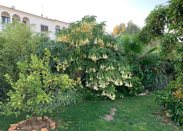 A Tranquil Garden Apartment, - Benagil Appartamento