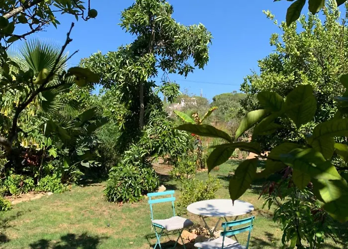 A Tranquil Garden Apartment, - Benagil