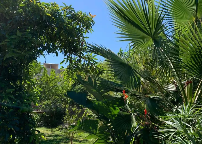 A Tranquil Garden Apartment, - Benagil
