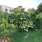 A Tranquil Garden Apartment, - Benagil Lägenhet