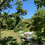 A Tranquil Garden Apartment, - Benagil