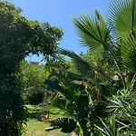 A Tranquil Garden Apartment, - Benagil