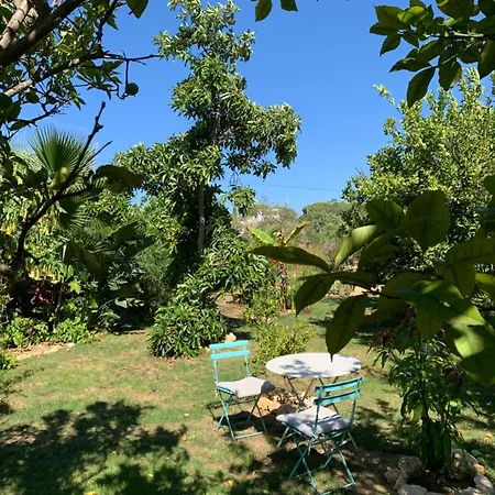A Tranquil Garden Apartment, - Benagil